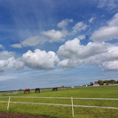 Braemar Equestrian, East Riding Of Yorkshire Hotel Burton Pidsea Exterior foto