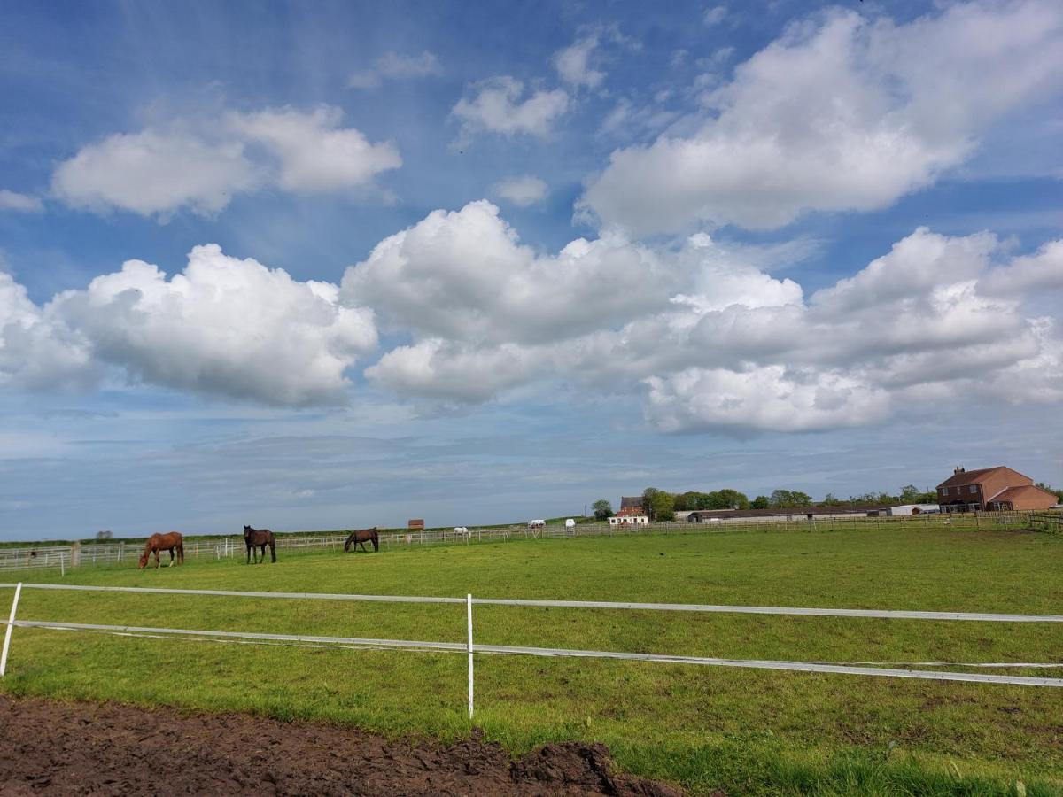 Braemar Equestrian, East Riding Of Yorkshire Hotel Burton Pidsea Exterior foto